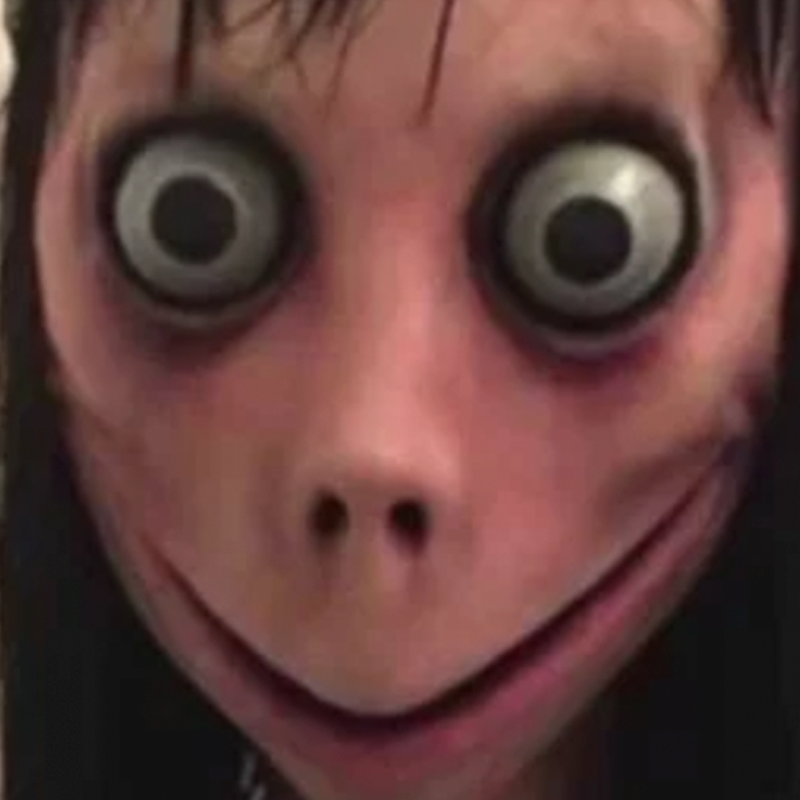 Momo the Internet Meme
