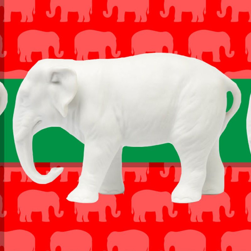 White Elephant