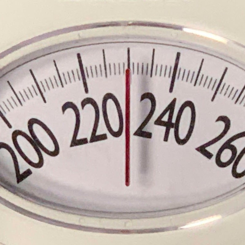 The Weight Loss Winner