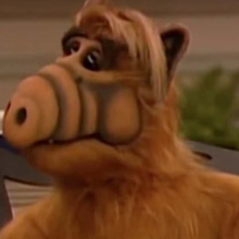 Alf